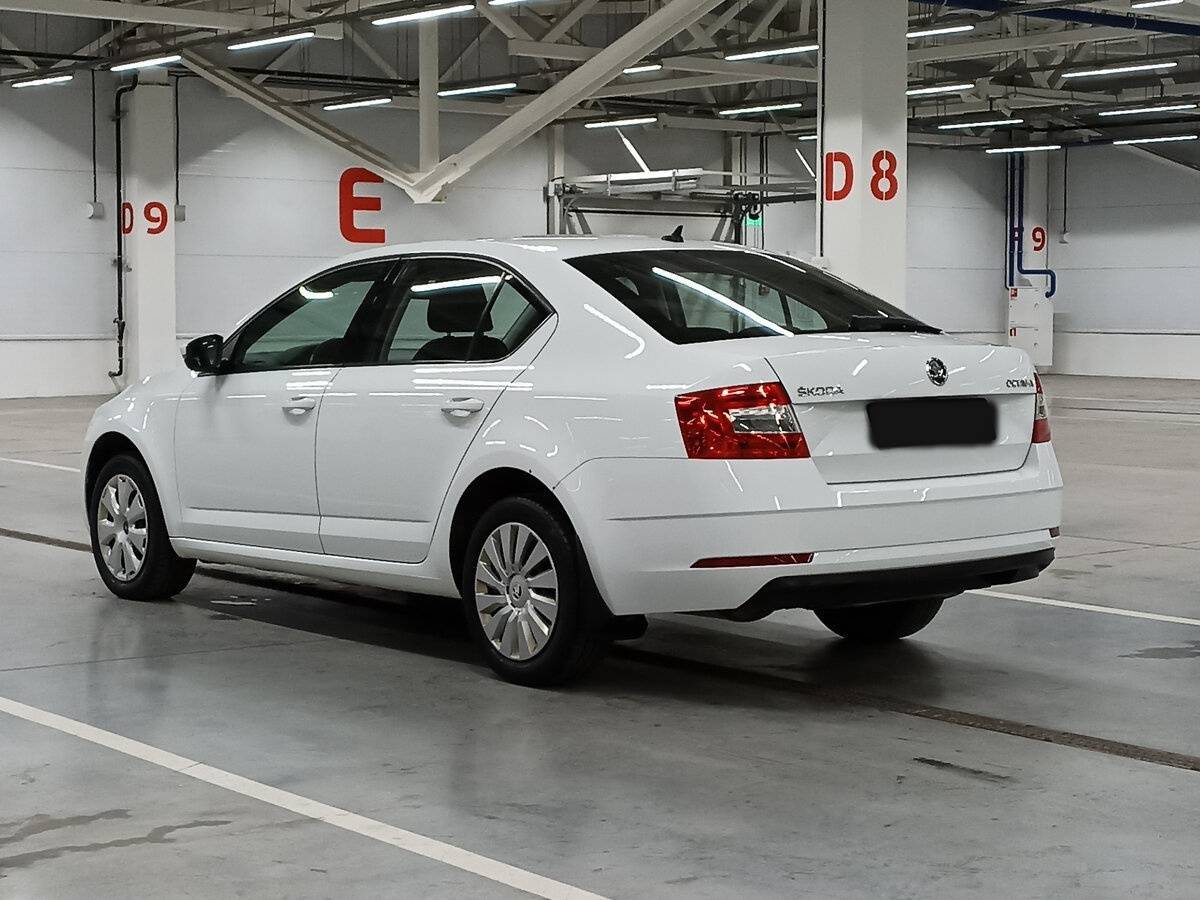 Skoda Octavia, 2019 Фото №7